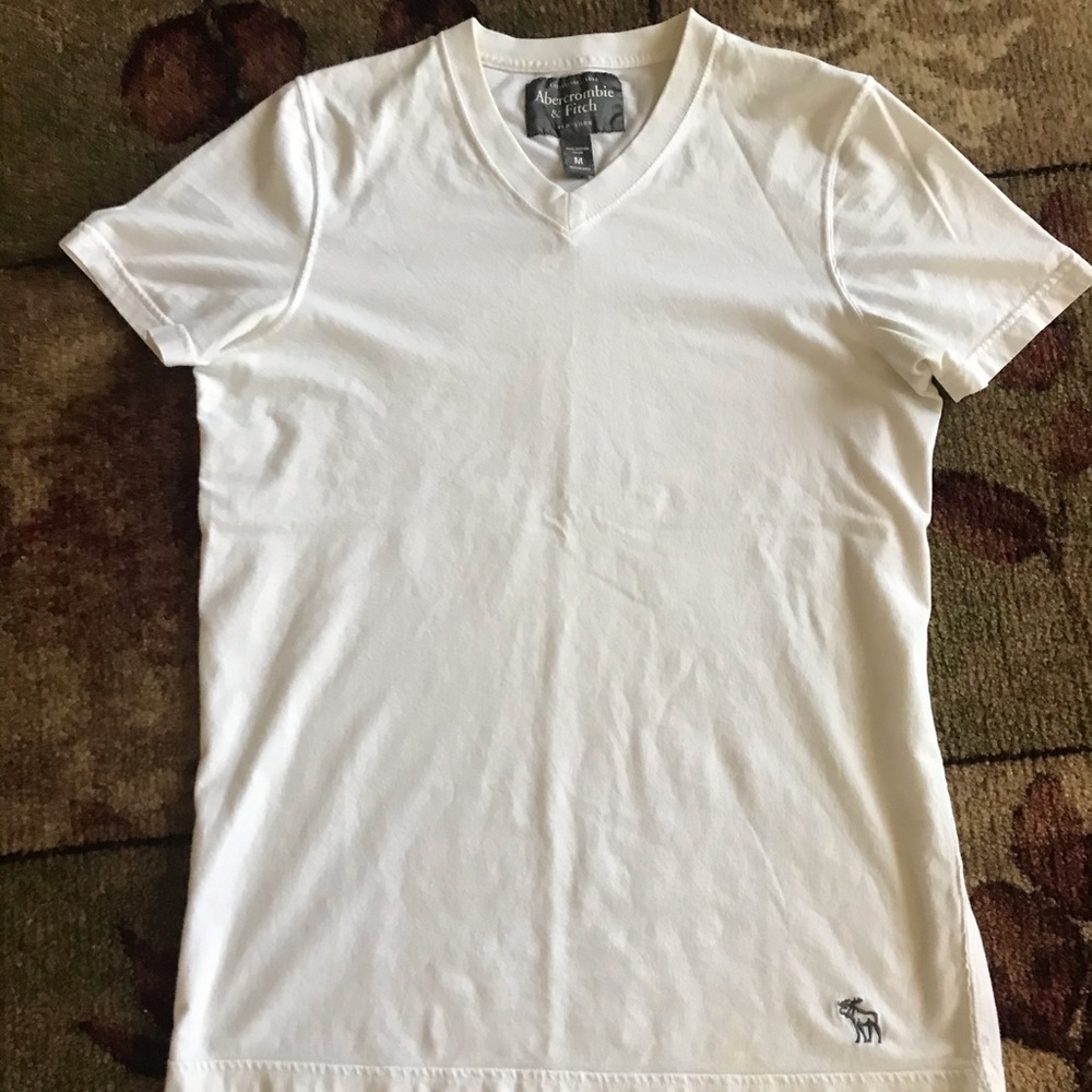 Abercrombie and Fitch men’s v-neck muscle fit Tee